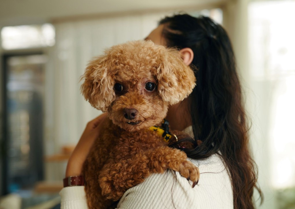 unnamed - 2025-10-24T093818.122