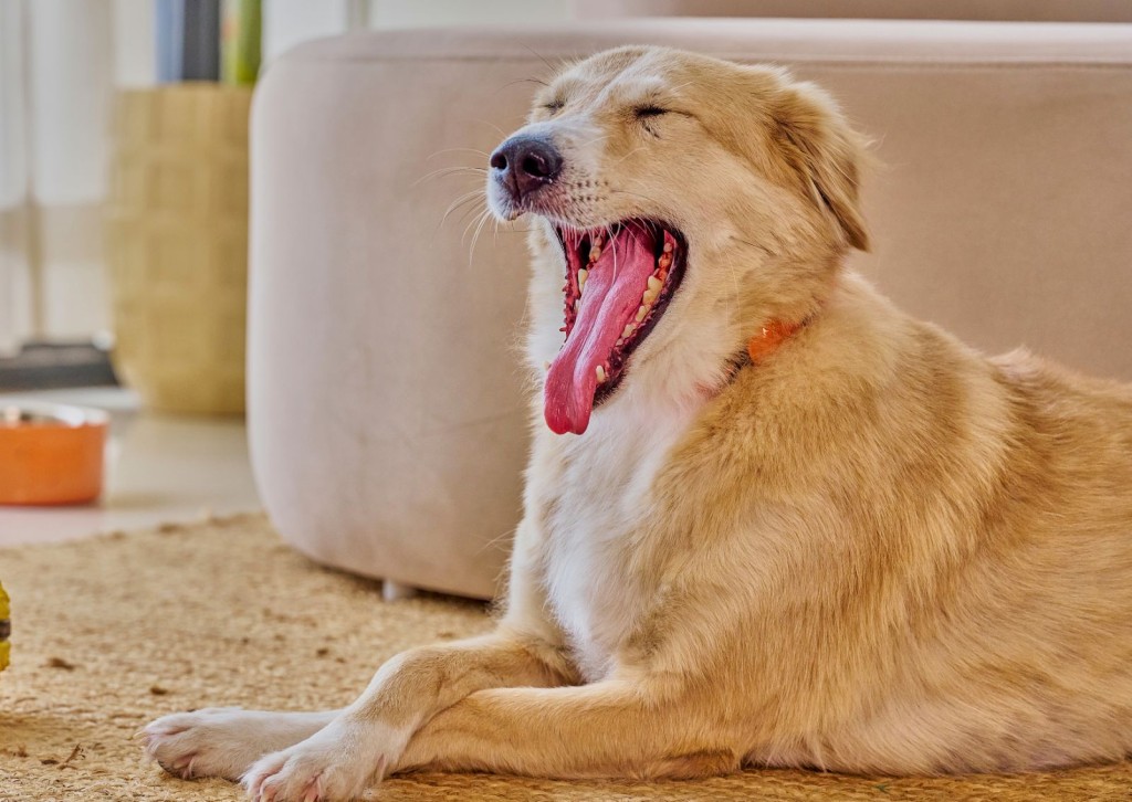 unnamed - 2025-10-24T102027.397