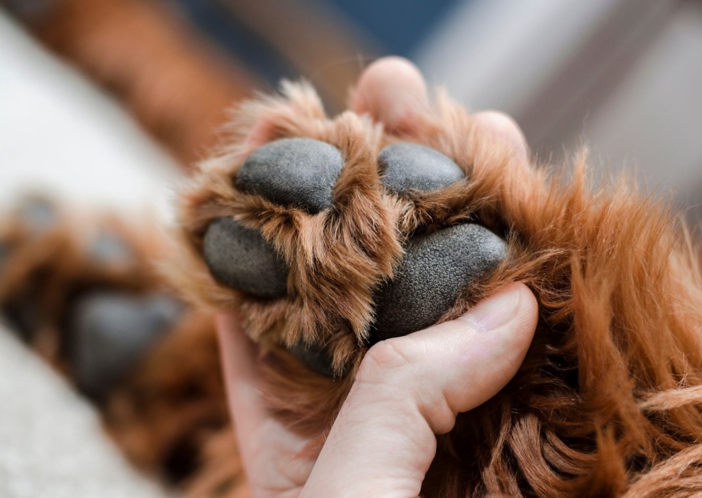 unnamed - 2025-11-21T101436.110