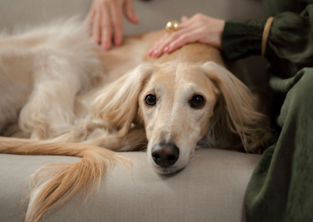 unnamed - 2025-11-21T103136.091