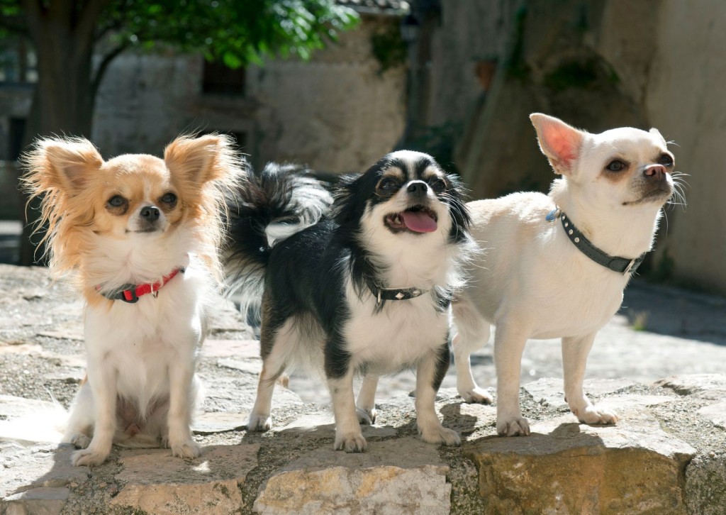 unnamed - 2025-11-21T104412.103