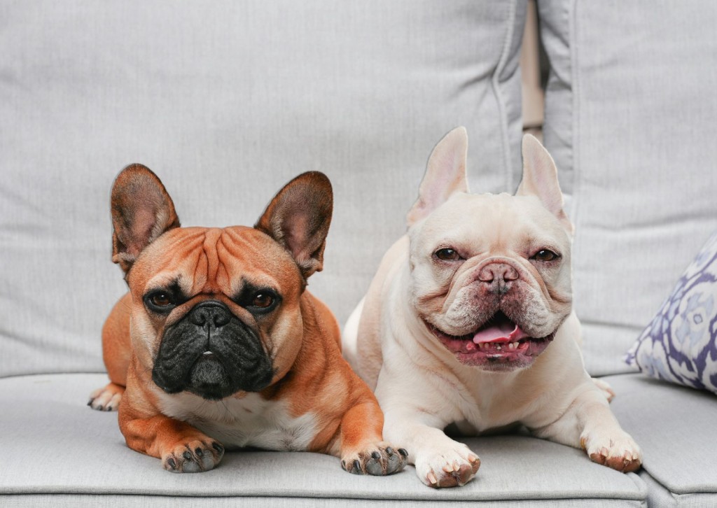 unnamed - 2026-01-09T152248.014