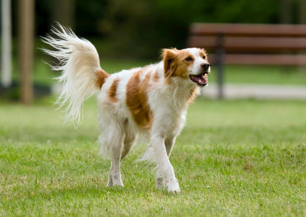 unnamed - 2026-01-09T163555.913