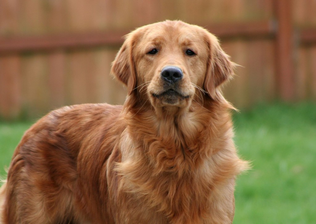 unnamed - 2026-01-19T124428.545