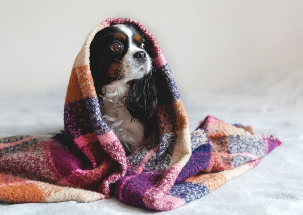 unnamed - 2026-01-19T182038.889