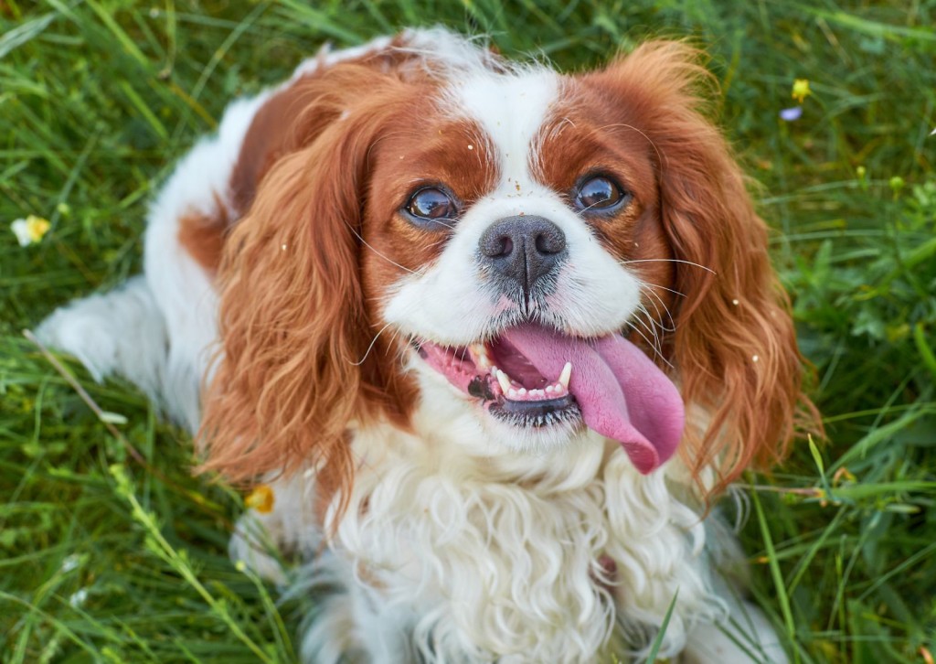 unnamed - 2026-02-20T122600.965