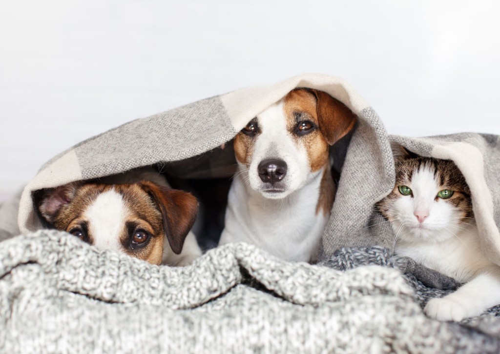 unnamed - 2026-02-20T124127.814