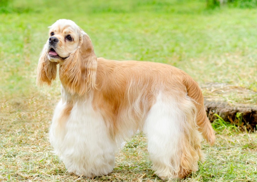 unnamed - 2026-03-26T103216.876