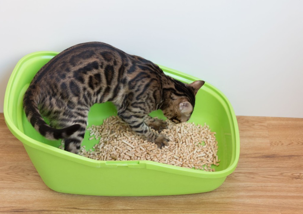 unnamed - 2026-03-26T133429.182