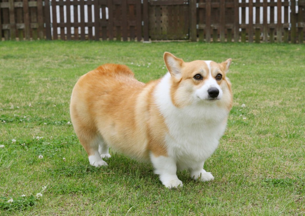 s-blob-v1-IMAGE-5-5iBQGpMXo