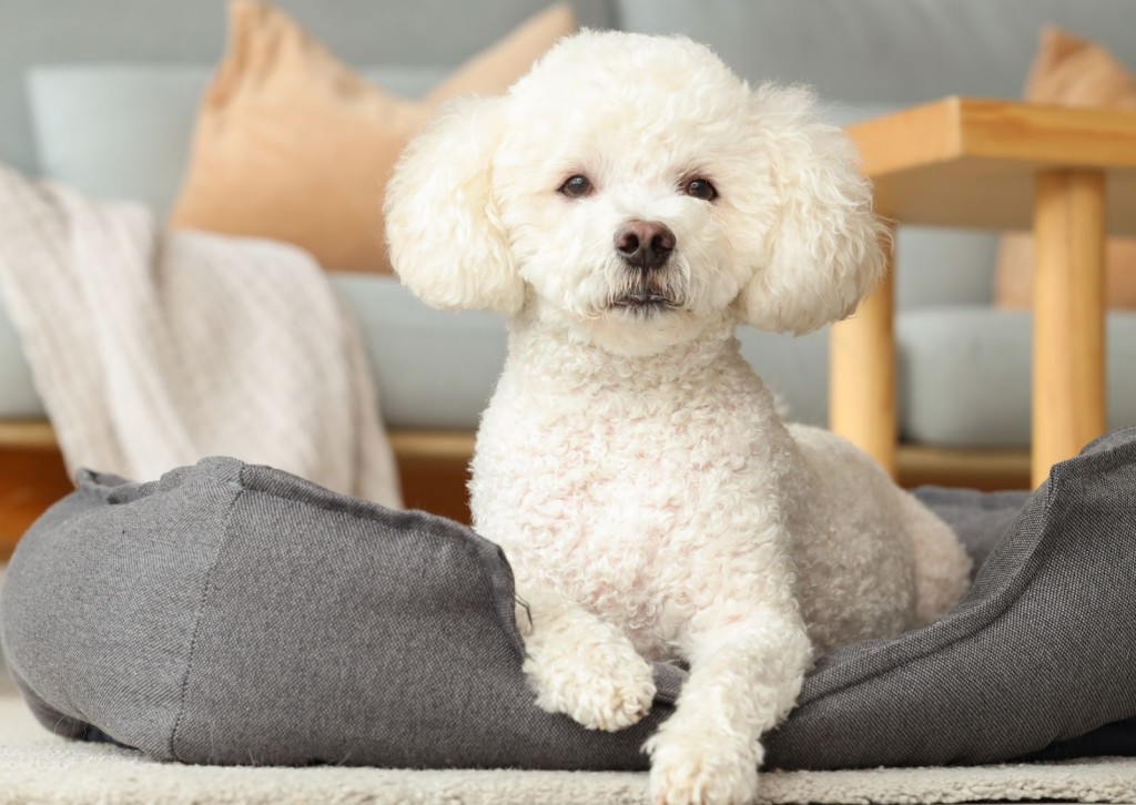 s-blob-v1-IMAGE-TgZI5SuaFM8