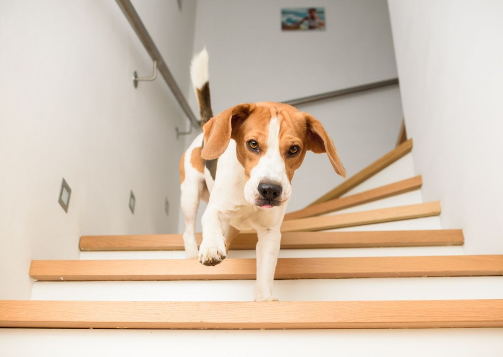 unnamed - 2025-11-21T094056.856