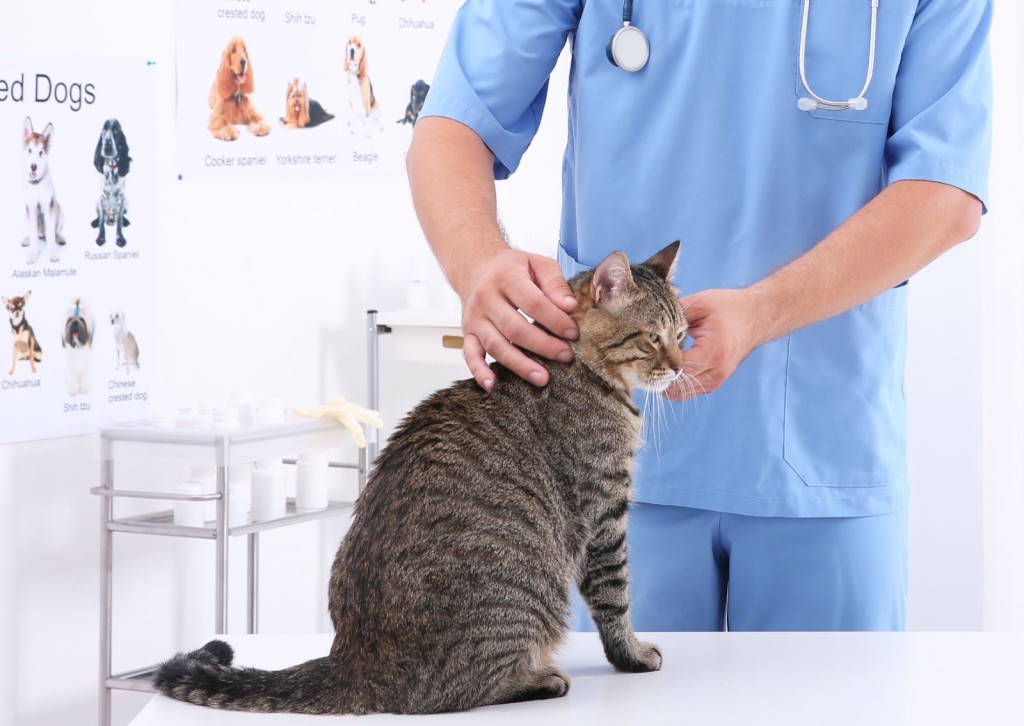 unnamed - 2026-01-09T143752.466