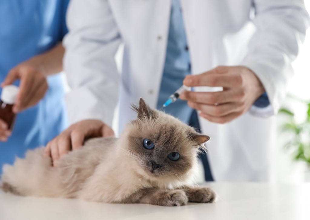 unnamed - 2026-01-19T145539.380