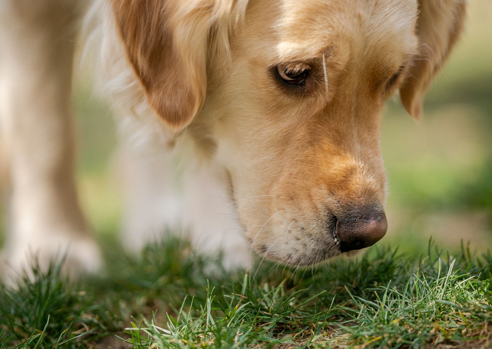 unnamed - 2026-02-20T141521.717