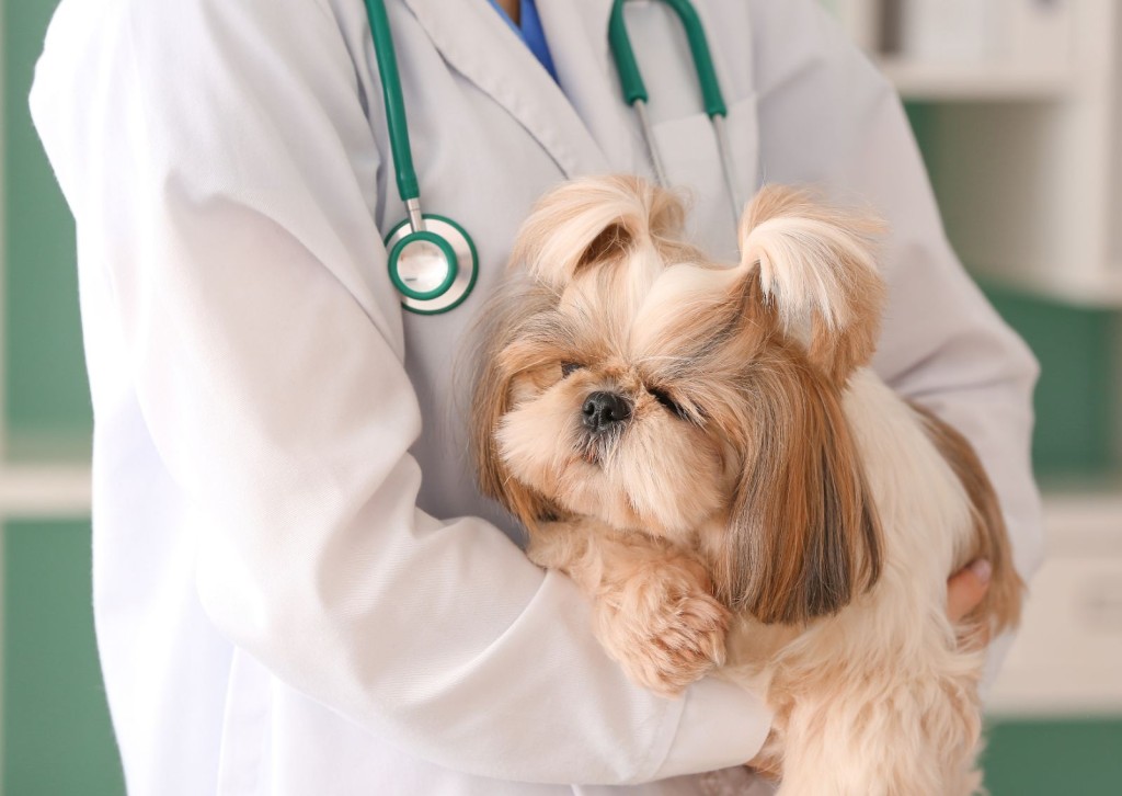 unnamed - 2026-03-26T121550.053