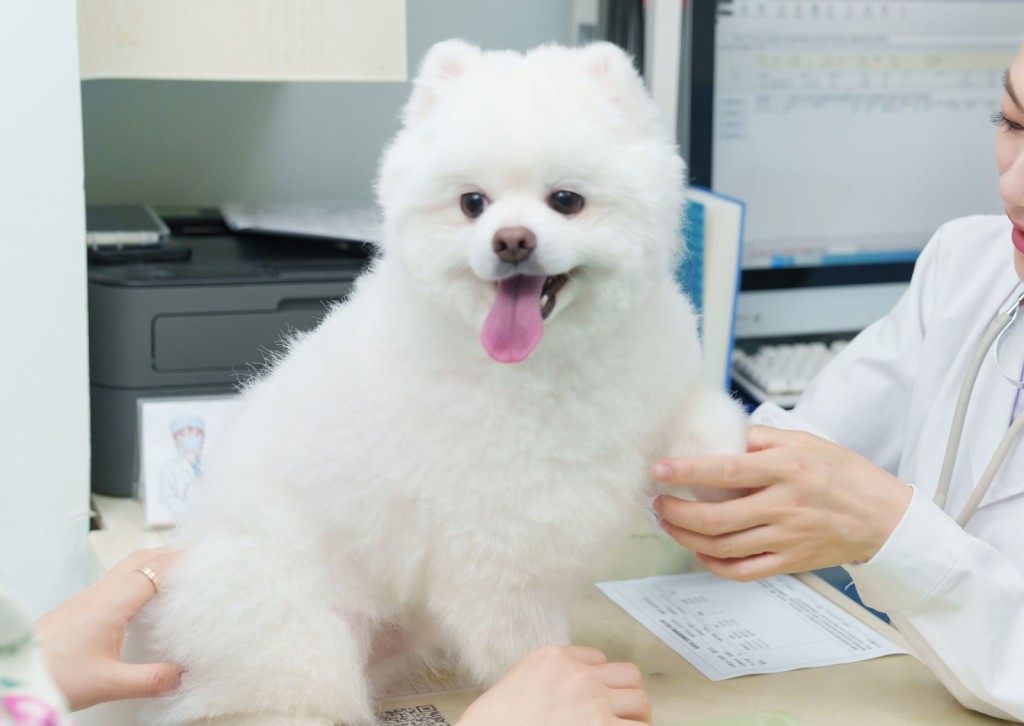 unnamed - 2026-03-26T131402.955