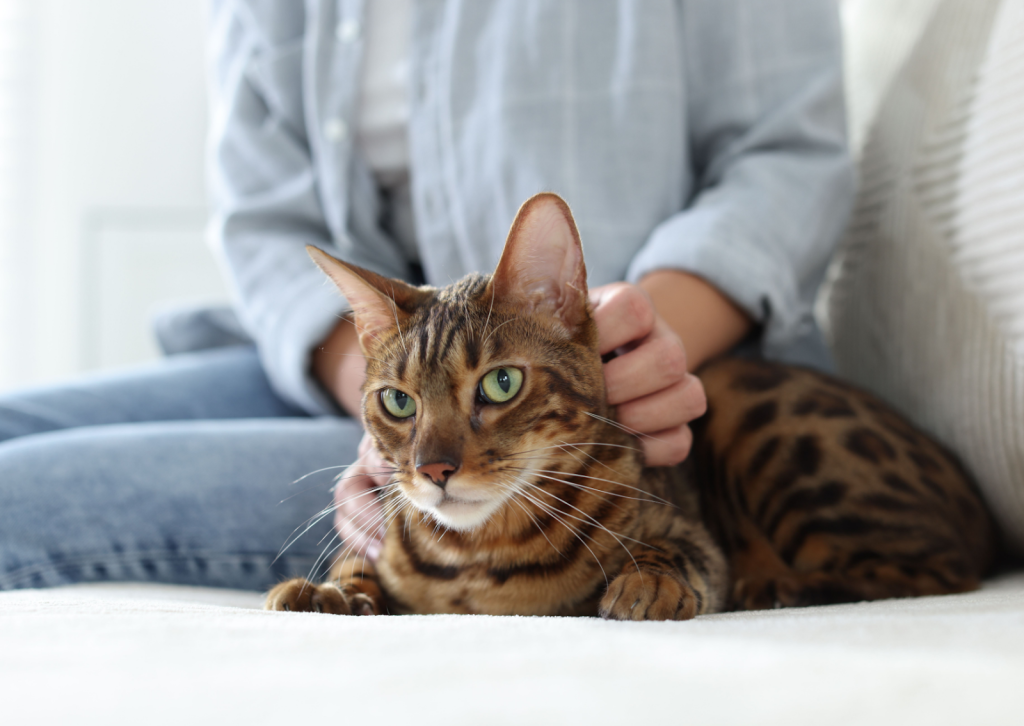 s-blob-v1-IMAGE-lAg4Minep1g