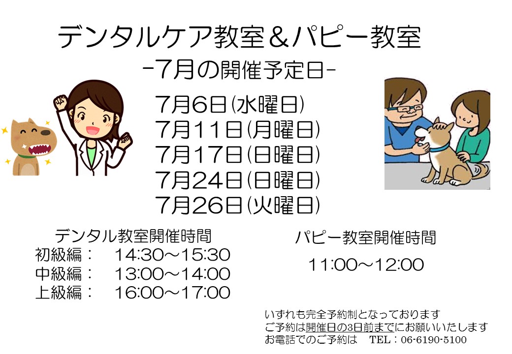 デンタルケア&パピー教室 7月