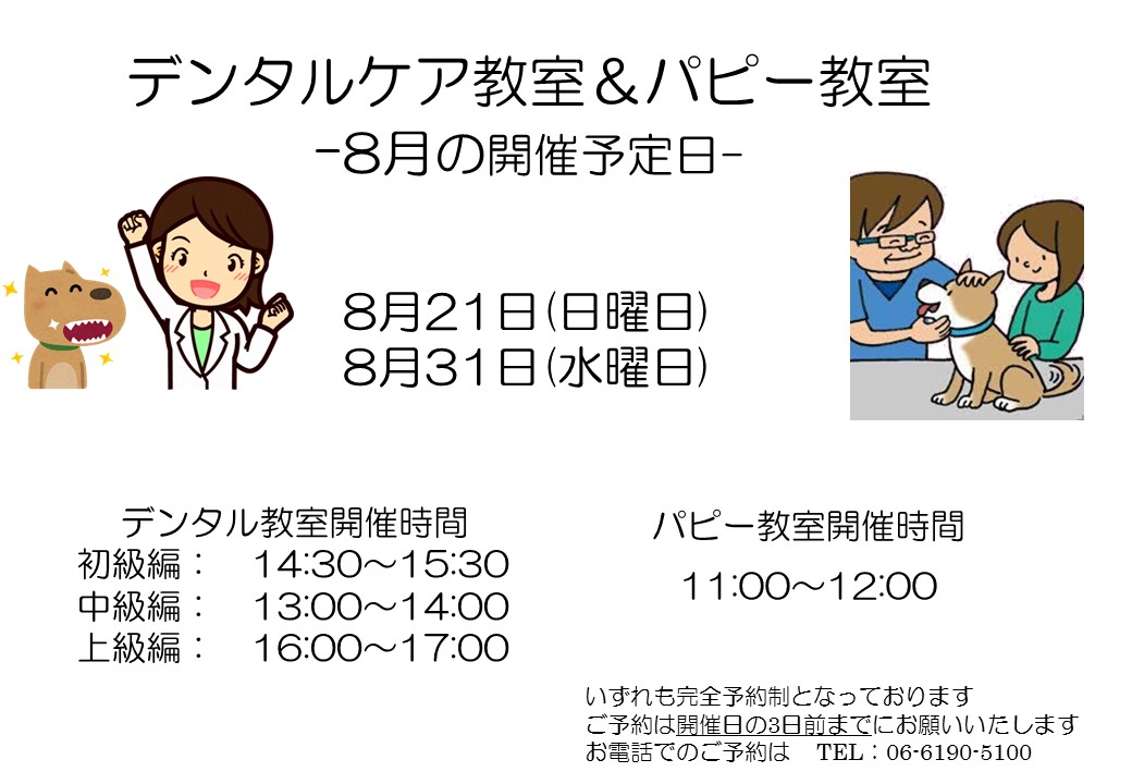 デンタルケア&パピー教室 8月