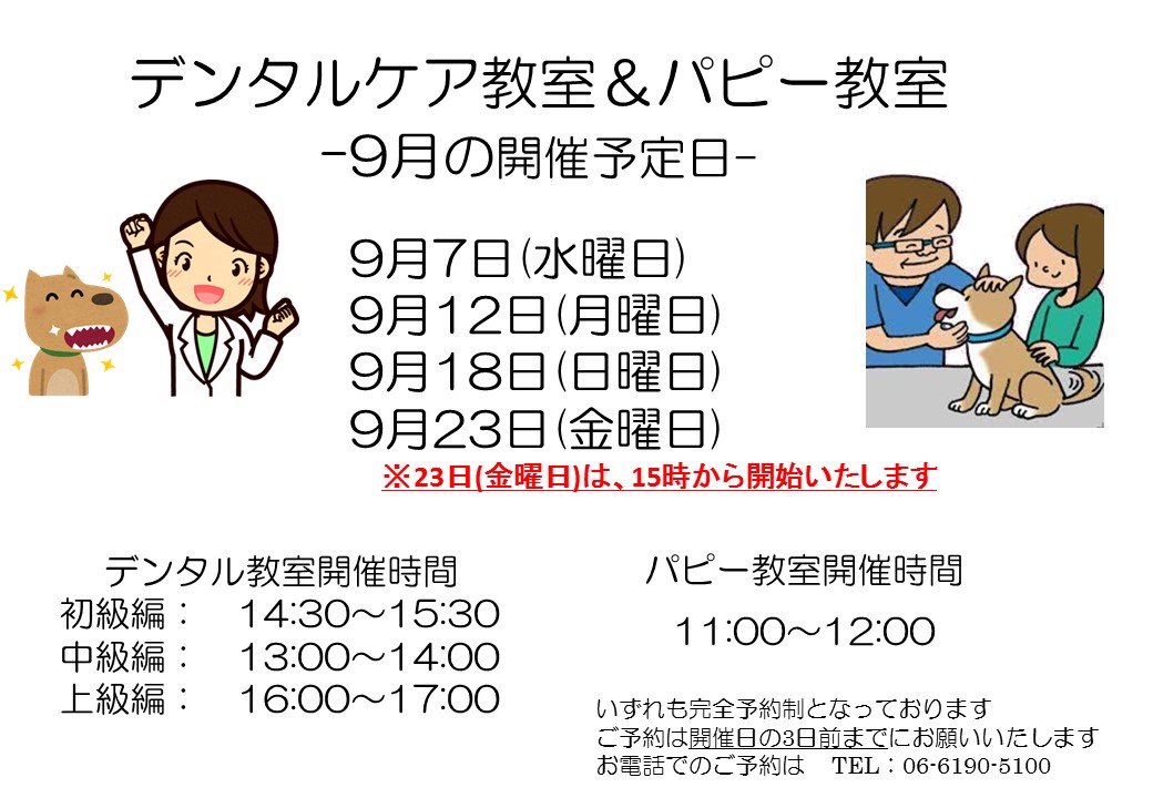 デンタルケア&パピー教室 9月