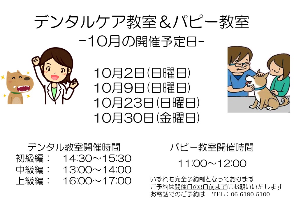 デンタルケア&パピー教室 10月