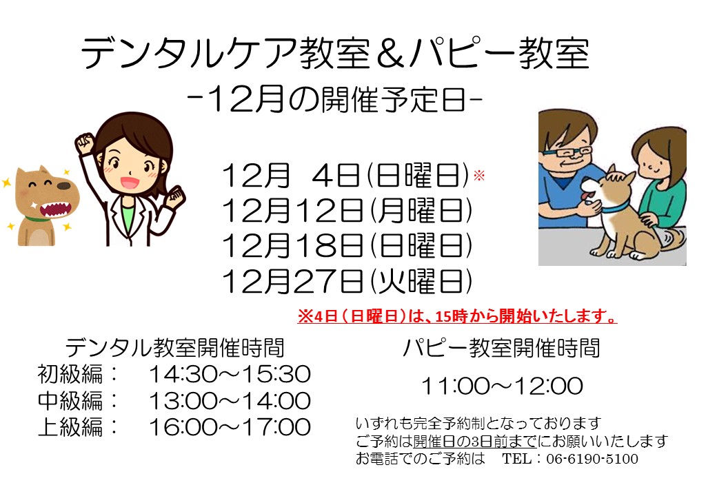 デンタルケア&パピー教室 12月