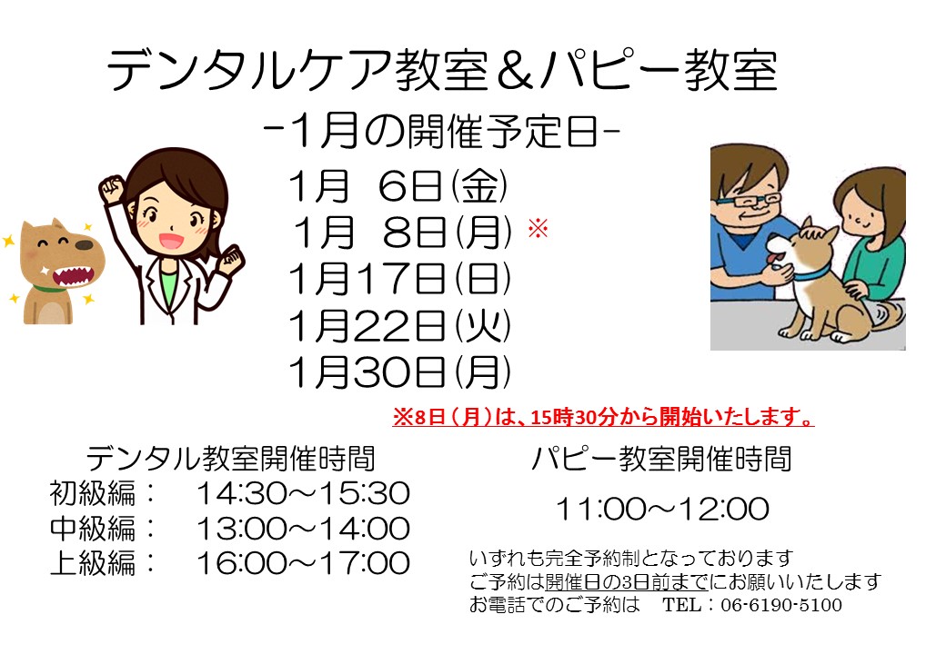デンタルケア&パピー教室 2023.1月