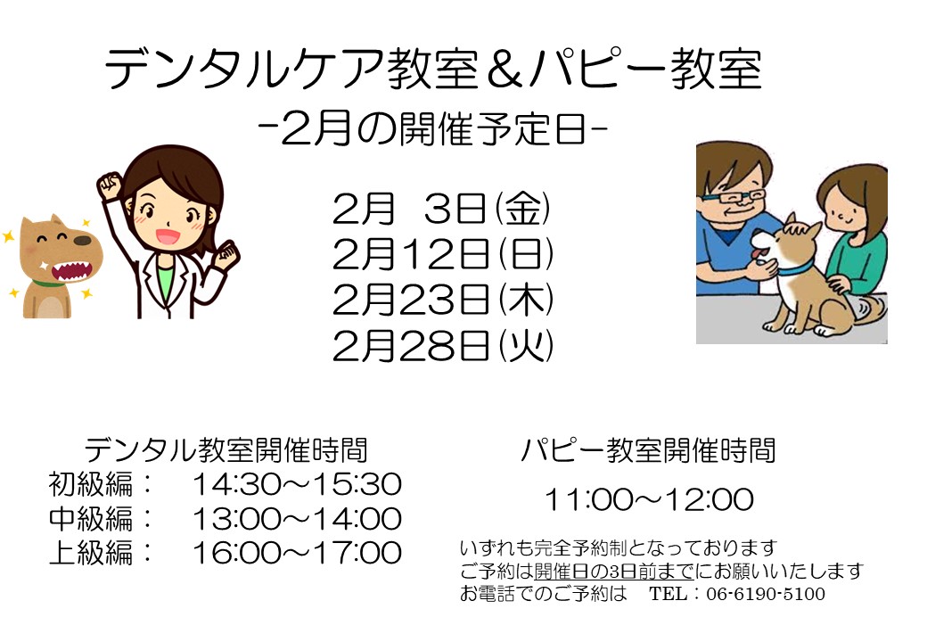 デンタルケア&パピー教室 2023年2月