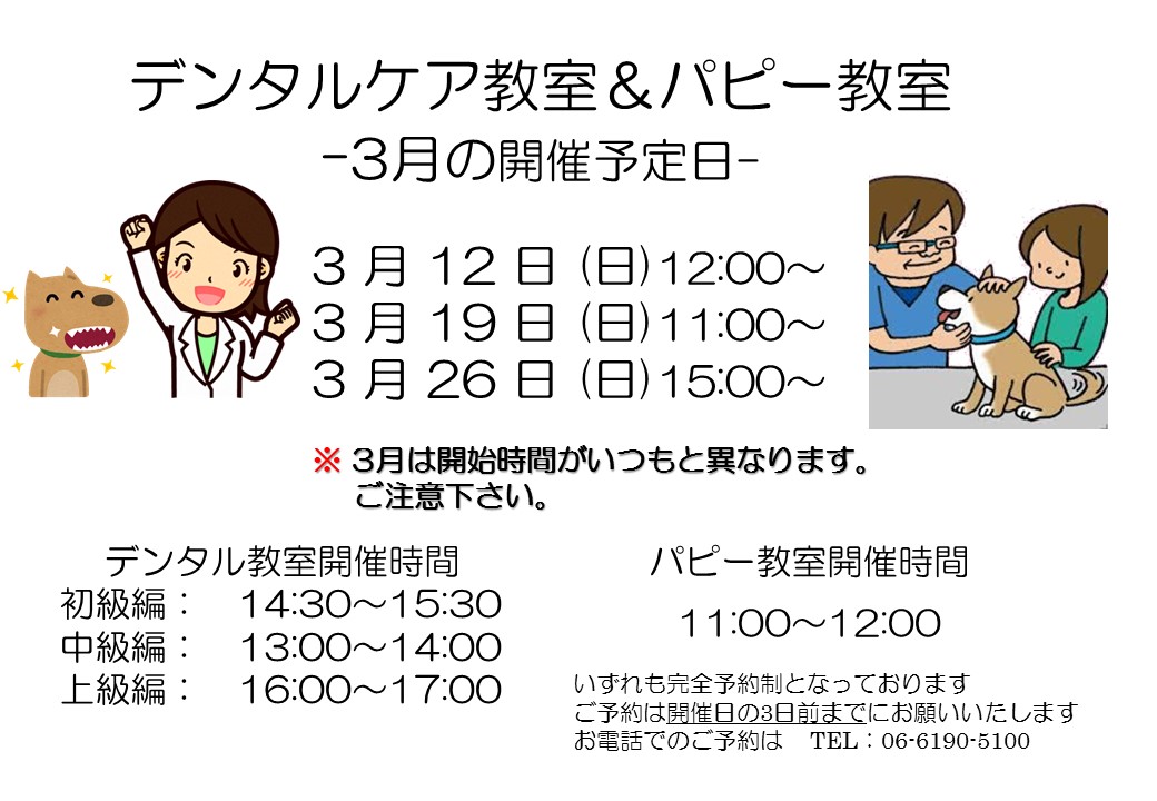 デンタルケア&パピー教室 2023年3月