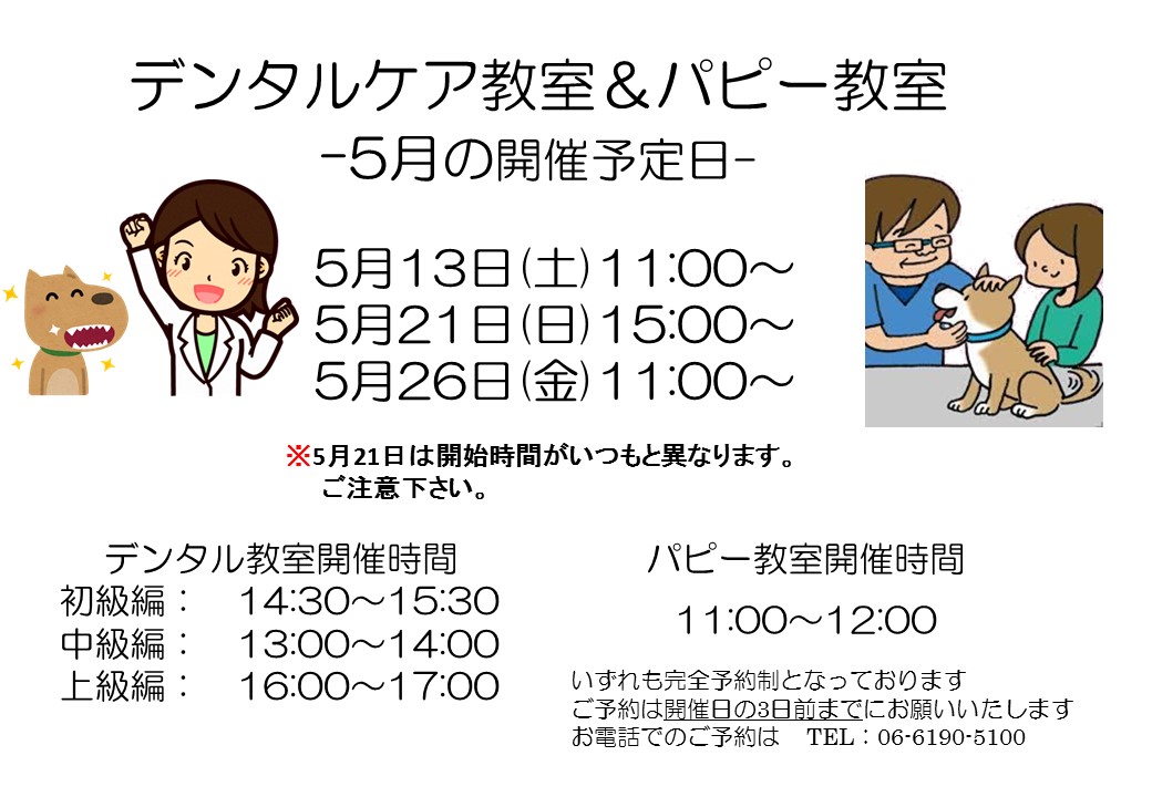 デンタルケア&パピー教室 2023年5月