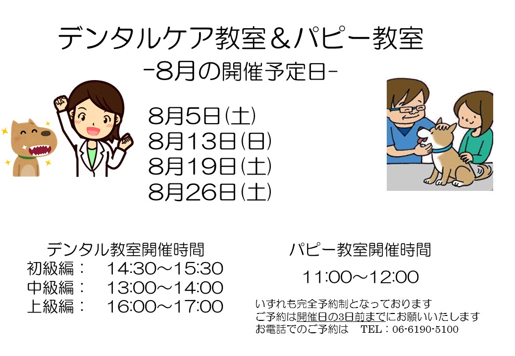 デンタルケア&パピー教室 2023年8月