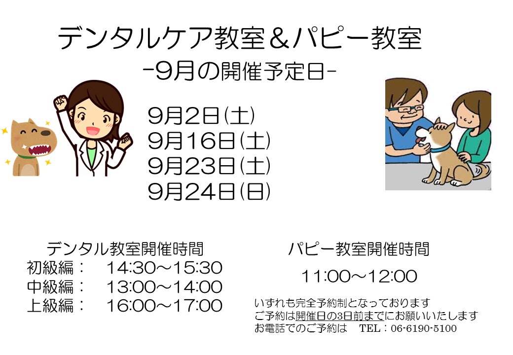デンタルケア&パピー教室 2023年9月