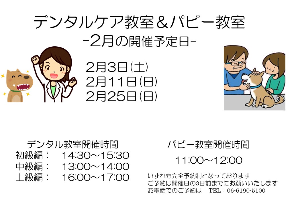 デンタルケア&パピー教室 2024年2月