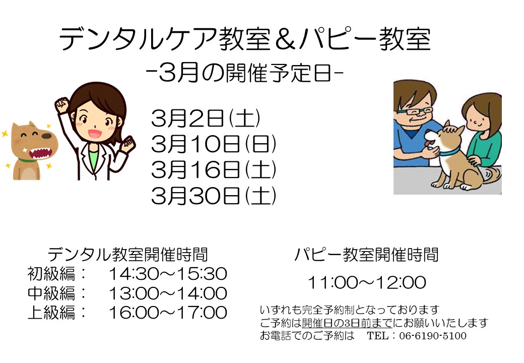 デンタルケア&パピー教室 日程