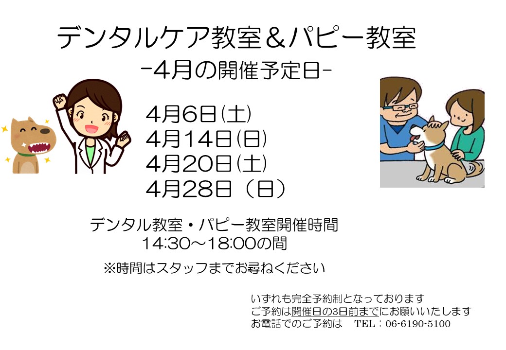 デンタルケア&パピー教室 4月日程