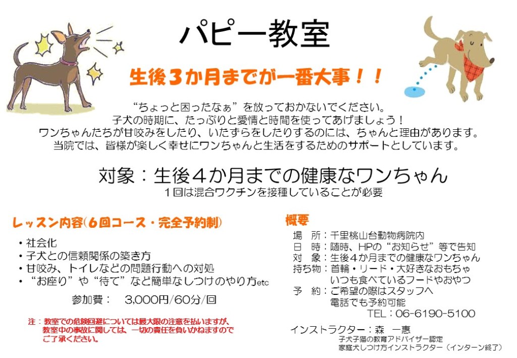 パピー教室 POP