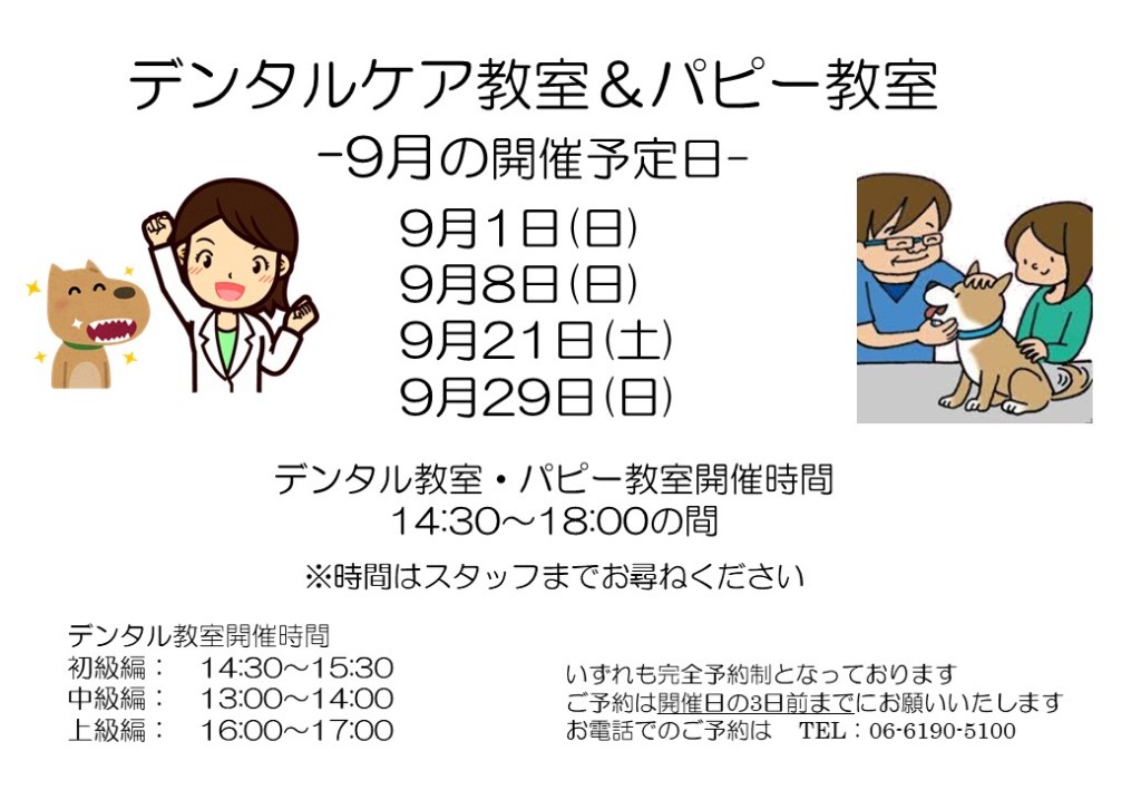 デンタルケア&パピー教室 9月日程