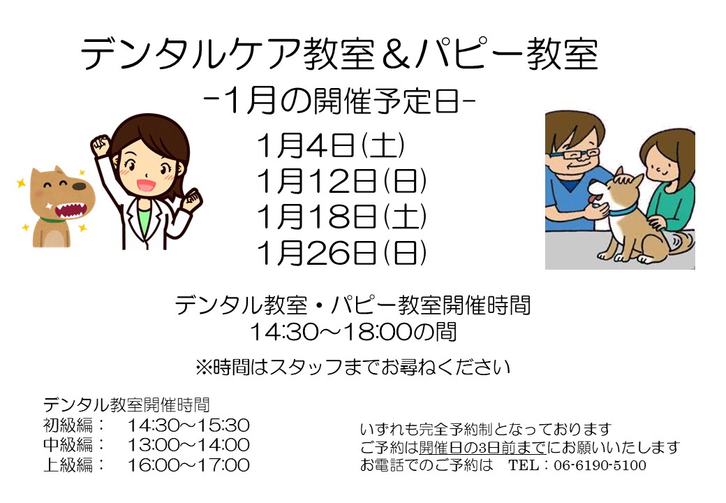 スライド1