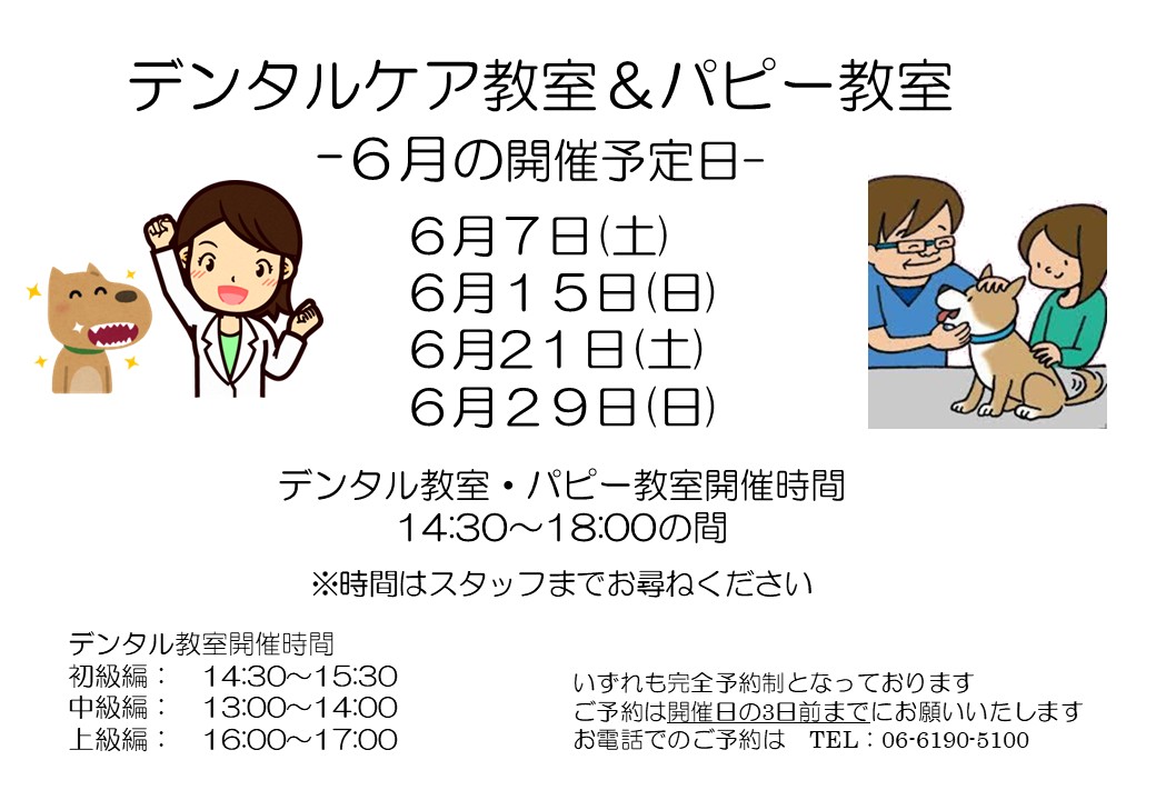 デンタルケア&パピー教室 6月日程
