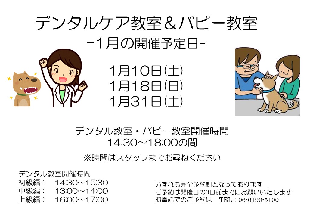 スライド1