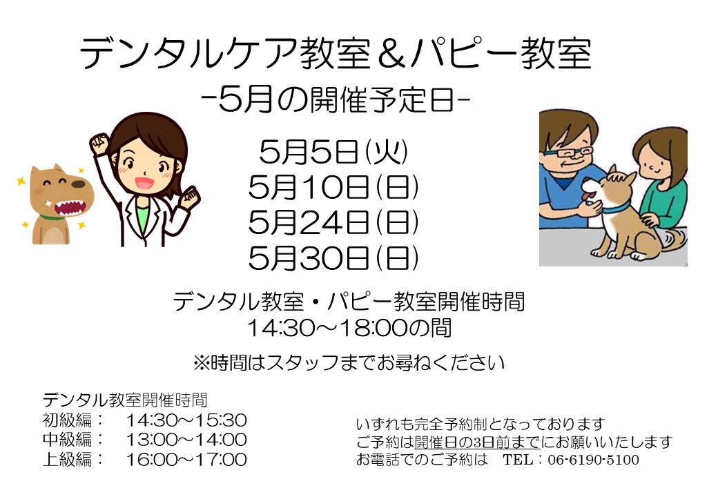 デンタルケア&パピー教室 5月 日程