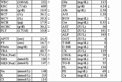 p15 門脈シャント図1